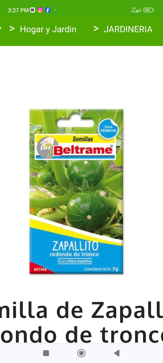 Semillas de Zapallitos de tronco 20 grs.